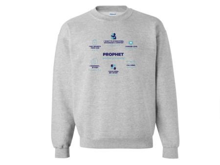 PROPHET DEFINED grey sweatshirt Online Hot Sale