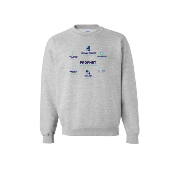 PROPHET DEFINED grey sweatshirt Online Hot Sale