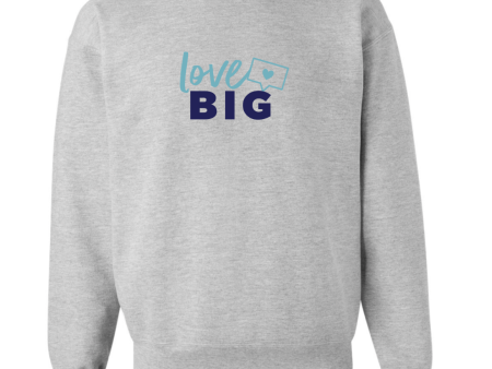 LOVE BIG grey sweatshirt Sale