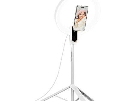 Ulanzi 10-inch Ring Light with Stand and Magnetic Phone Mount Hot on Sale