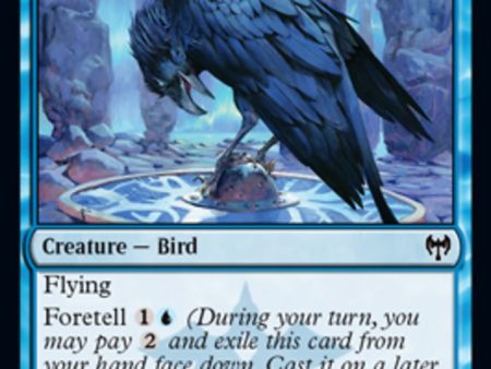 Augury Raven [Kaldheim] Online Sale