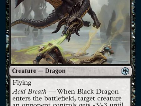 Black Dragon [Dungeons & Dragons: Adventures in the Forgotten Realms] Fashion